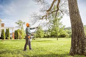 Best Tree Mulching  in Desert Edge, CA