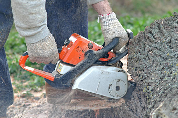 Best Aeration Services  in Desert Edge, CA